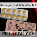 Kamagra Oral Jelly What Is It 41